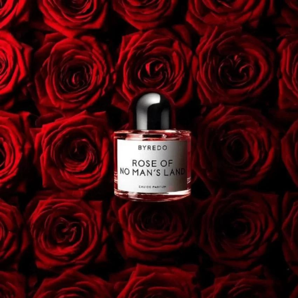 Rose of No Man's Land – Twisted Lily